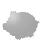 Produkt_1